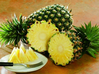 福玛北美旅行网都乐菠萝种植园