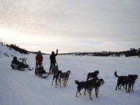 福玛北美旅行网-狗拉雪橇