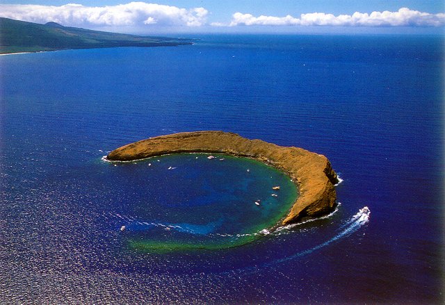 ï˵MauiΡ