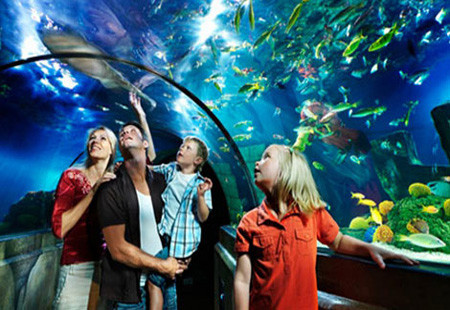 去美国旅游七大梦幻水族馆推荐