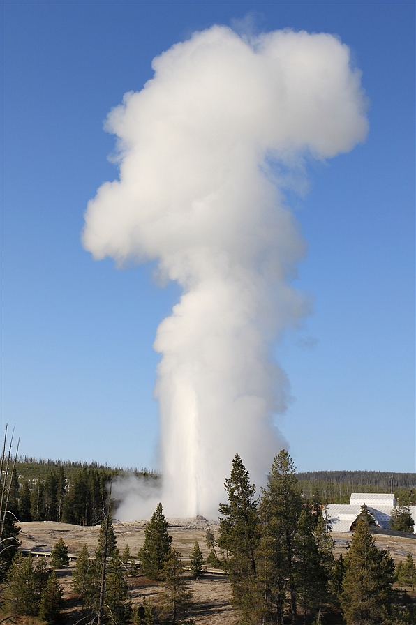 ��ʯ���ҹ�԰����