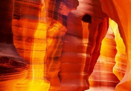 ������ɼ������˹ά��˹���ɽ�ɽ10���Լ��г�