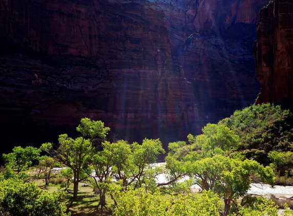 ������ɼ������˹ά��˹���ɽ�ɽ10���Լ��г�