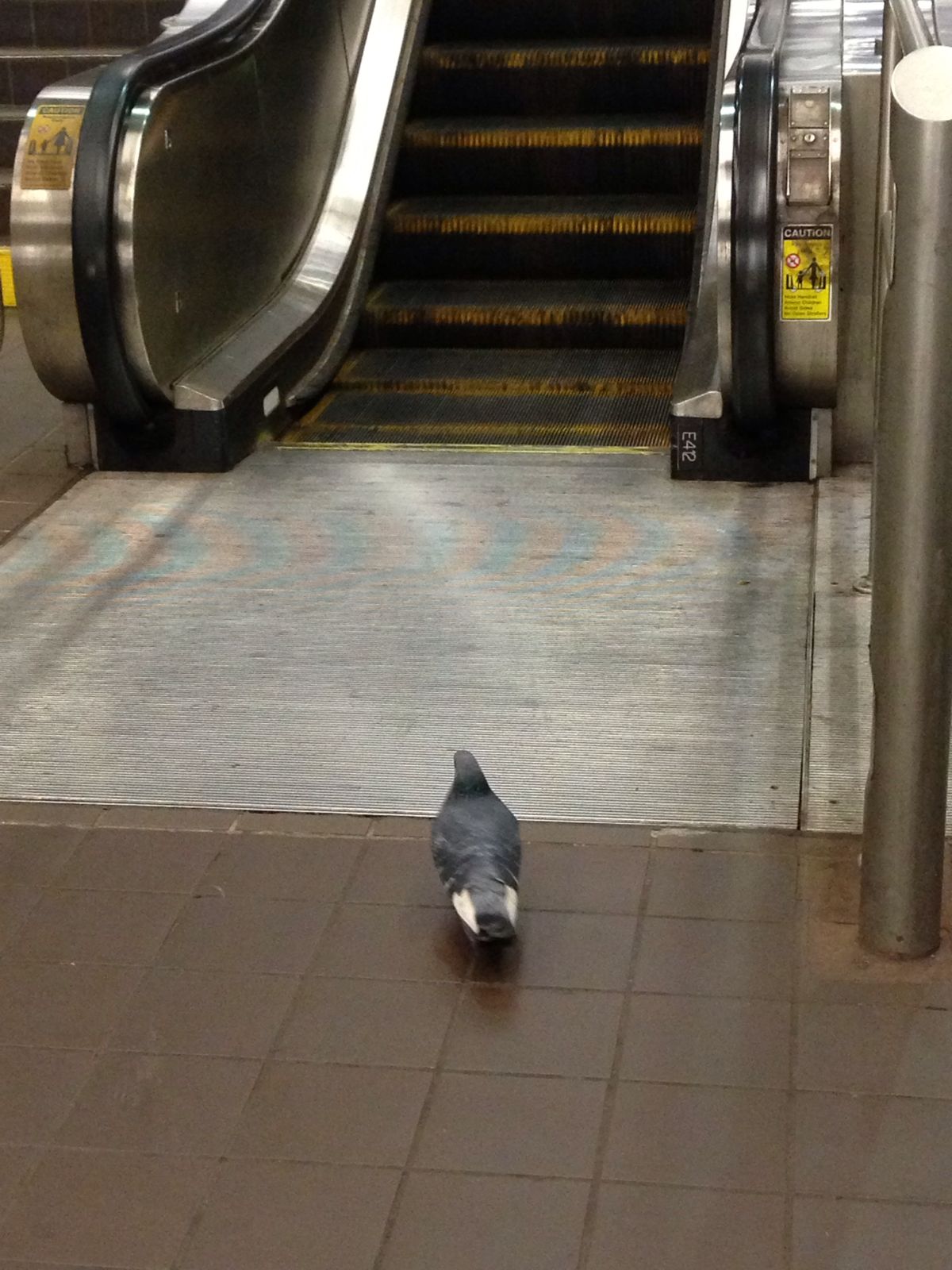 ŦԼ����������ָ��